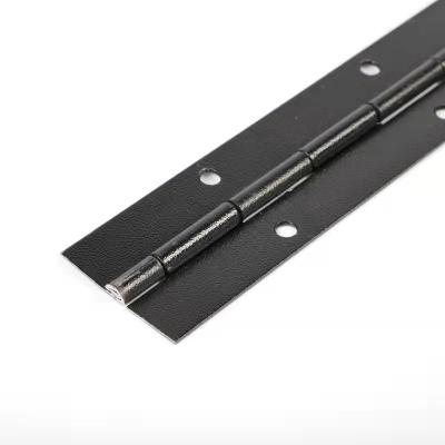 China Modern High Quality Different Soft Narrow Hoone Height Piano Hinge Stainless Steel Furniture Hardware With Mounting Screws for sale