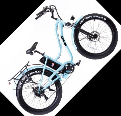 China Aluminum Alloy Ebike Rear Motor-drive 48V 750W City BIKE 26*4.0 Fat Tire Electric Bike Amybike AMY ELECTRIC BIKE for sale