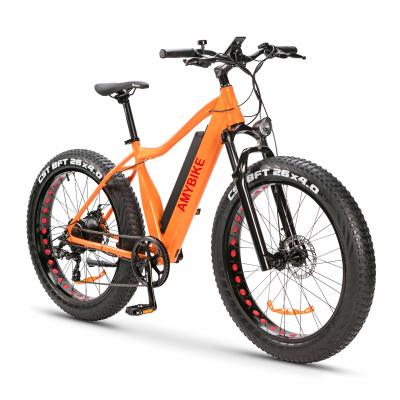 China Aluminum Alloy Electric Ebike Rear Motor-Drive 48V 500W Electric Mountain BIKE Fat Tire for sale