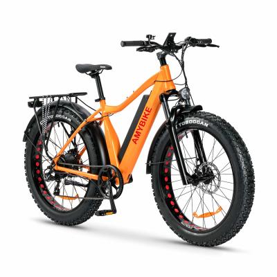 China Aluminum Alloy Electric Ebike Rear Motor-Drive 48V 500W Electric Mountain BIKE Fat Tire Spikes Tire Ice Tire for sale