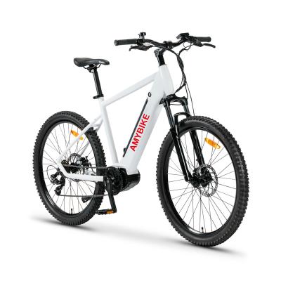 China Aluminum Alloy Ebike Mid Motor-Drive 36V 250W Electric Mountain Bike for sale