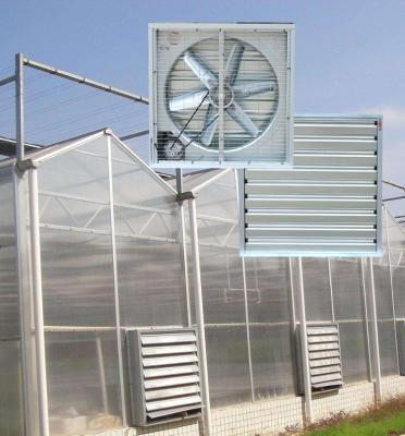 China Industrial Warehouse Poultry Farm Greenhouse Air Ventilation With Cooling Exhaust Fan Exhaust Fan for sale