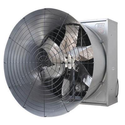 China Large Air Circulation 50 Inch Poultry House Cone Exhaust Fan For Greenhouse Poultry Ventilation Galvanized Ventilation Fan for sale