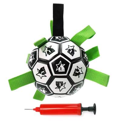 China Viable Wholesales Outdoor Portable Dog Chew Playing Soccer Ball For Park Grass Beach for sale