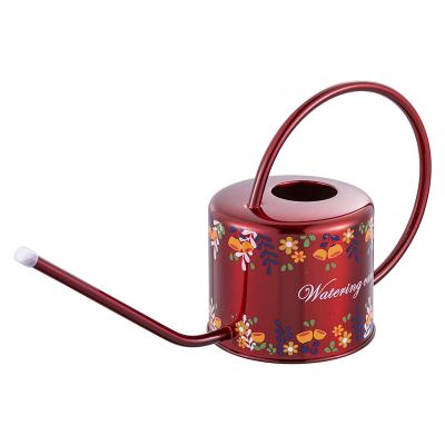 China Metal Customized Printing Process Of Stainless Steel Flower Water Box Planter Metal Watering Can Garden for sale