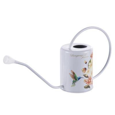 China Metal Stainless Steel Flower Watering Can Printed Sprinkler Pot Metal Watering Can Custom Process Printing For Garden for sale