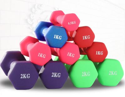 China Goods Sell New Type Plastic Well Coated Iron 5 Kg Dumbbell Set Gym Yord Dumbbell Adjustable Handle for sale