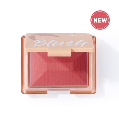 China Matte Fine Flash Smooth Compliant Waterproof Wholesale Face Contour Blush Natural Baked Cheek Powder Face Blush for sale