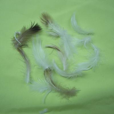 China Eco - Friendly Manufacturer Supplies 2-4cm Washed Gray Goose Down Textile Down Material Feather for sale