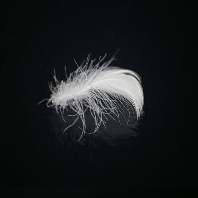 China Eco-Friendly High Quality Lightweight 2-4cm Bulk Down Materials Washed Duck Feather White Feather White for sale