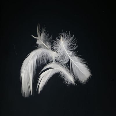 China Eco-friendly Wholesale Washed 2-4cm 4-6cm 2-6cm Natural White Duck Feather Filling Material for sale