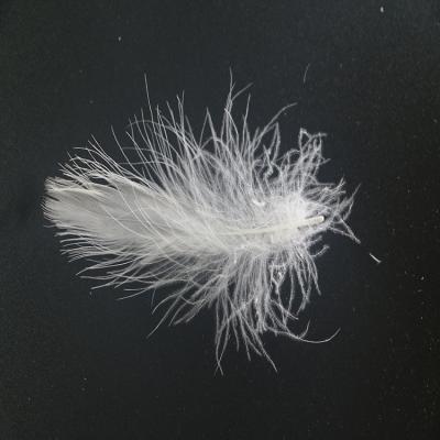 China Eco-friendly good price new design 4-6cm white duck feathers for sofa and pillow for sale