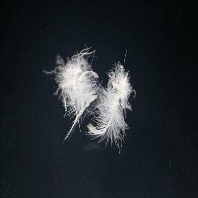 China 100%Washed Cheap Eco-friendly Duck Feather Natural Feather For Sale for sale