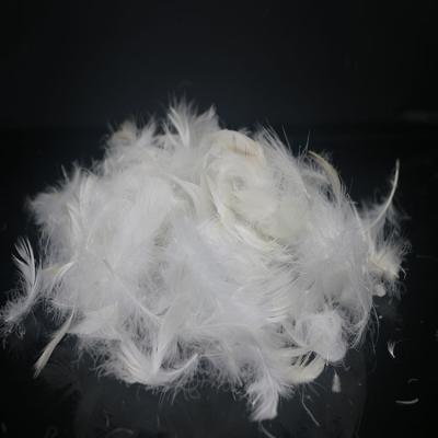 China 4-6CM Washed Safed Eco-friendly Duck Feathers Plume Natural Materials White For Soft Filling Materials for sale