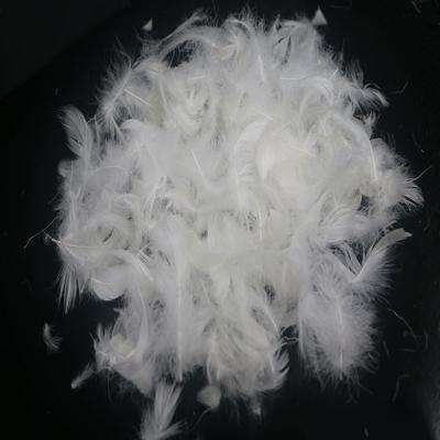 China Eco-Friendly Washed 4-6cm White Duck Feather for sale