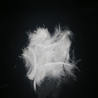 China Hot Selling Eco-friendly Natural High Filling Power 4-6cm Down White Goose Feathers Down for sale