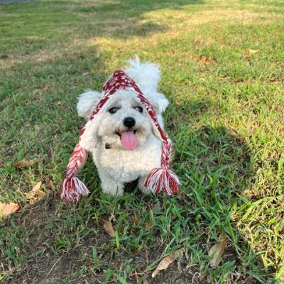 China 2022 Viable Wholesale Sherpa Four Braid Hat Christmas Pet Toy Good Quality Pet Sherpa Christmas Costume Accessories for sale