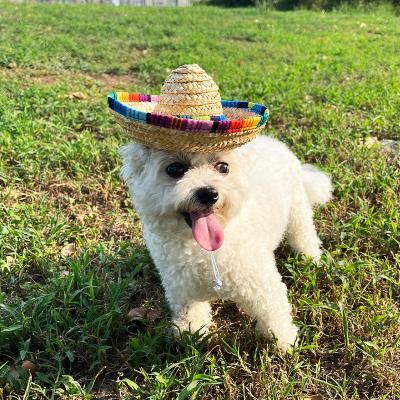 China 2022 New Easter Petstraw Hat Cat And Dog Hat High Quality Creative Viable Pet Straw Hat Pet Straw Cosplay Costume for sale