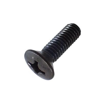 China General Industry Black Oxide Cross Recessed Expanded Countersunk Head Screw for sale