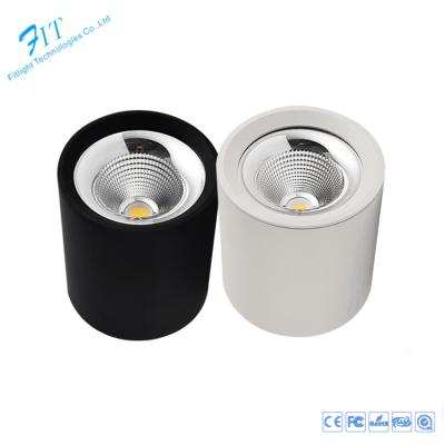 China Commercial Lighting CE Approved Dimmable Outdoor Ceiling Mounted Round 30w Led Downlight for sale