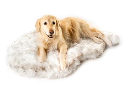 China Viable Amazon Border Plush Pet Rug Warm Blanket Rug Hot Selling for sale