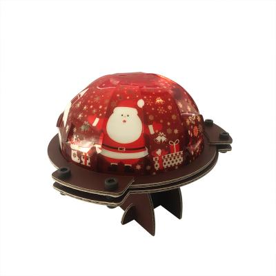 China DIY Toy Set Custom Factory Direct Price Educational Cheap Snow Autumn Scene Led Lights Christmas Decoration Ornaments Snow Light for sale