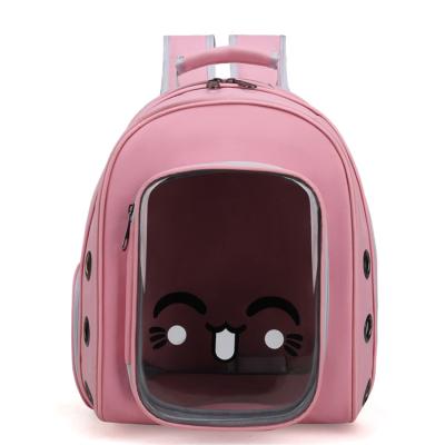 China Transparent Hard Carrier Backpack Small Pet Stored Portable Dog Cat Pet Carrying Bag for sale