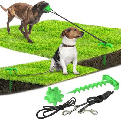 China Viable Outdoor Pile Ground Dog Leash Nail Leash Interactive Toy Dog Chew Toys Pet Puzzle Game Toys for sale