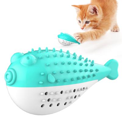 China Viable Fish Train Interactive Pets Sit Healthy Toy Cat Toy Pet Cat Toothbrush for sale