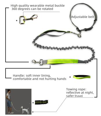 China Reflective Hot Selling Pet Bungee Dog Elastic Hand Restraint Belt Leash Free Leash for sale