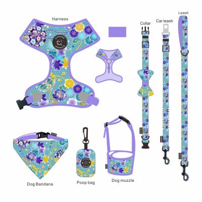 China Personalized Hot Sale Multi Color Harness And Leash Kit For Christmas for sale