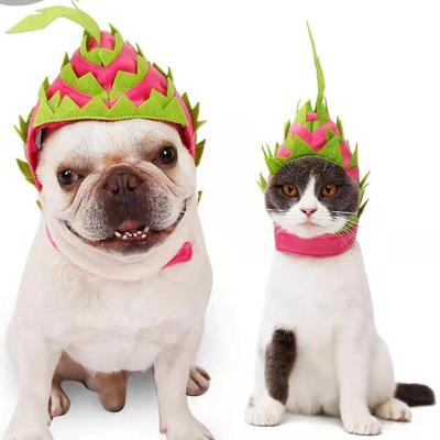 China Stored Pet Decoration Supplies Cat Head Cover Pet Headgeges Cat Hat Thys Headgear Pet Sun for sale