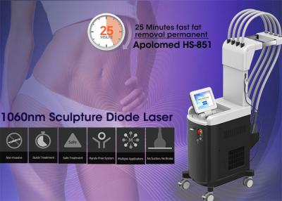 China Apolomed 1060nm sculpture diode laser for stubborn fat treatment for sale