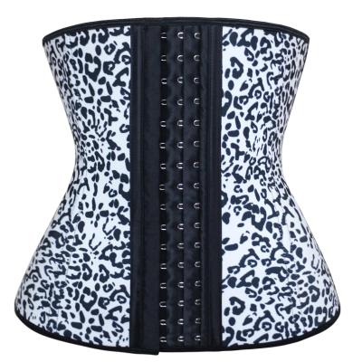 China Antibacterial Trainer XXXS-6XL Shapewear Waist Cincer entrenador de cintura Latex Waist Support Corset 3 Hooks for sale