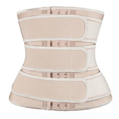 China Faja corset 3 hooks latex waist trainer antibacterial 3XS-6XL support shapewear strap waist trainer entrenador de cintura for sale