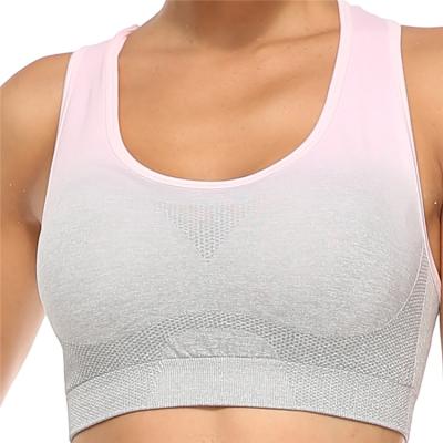 China News Anti-odor Women's Set Ladies Tops Women's Round Neck Cropped Seamless Fit Vest Yoga Bra for sale