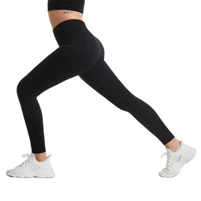 China Factory Supply Anti Static Sweat Proof Plus Size Women High Waist Soft No Pressure Sucking Belly Yoga Pants for sale