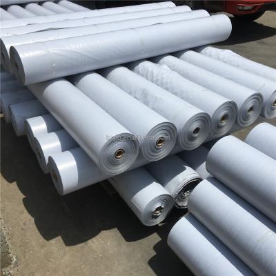 China China Factory White PE Tarpaulin Rolls Waterproof and Sunproof for sale