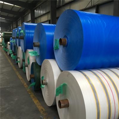 China Double Coated High Tensile Strength Polyethylene Waterproof PE Tarpaulin Roll for sale