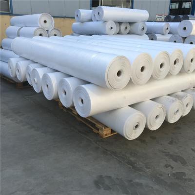 China China Manufacturer All Kinds Waterproof Heavy Duty Tarp Canvas PE Tarpaulin Roll for sale