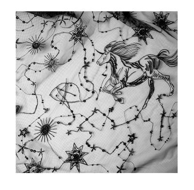 China Luxury Lace Fabric Animal Constellation Fully Heavyweight Beaded Black for sale