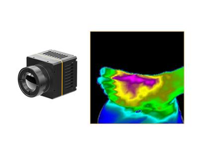 China integración rápida del módulo de la cámara de la toma de imágenes térmica de los 384x288/17μm para la atención sanitaria en venta