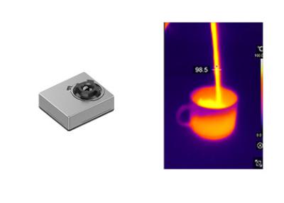 Chine Noyau non refroidi de petite taille 256x192 12μm de formation d'images thermiques d'OEM LWIR à vendre