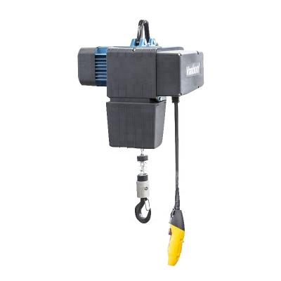 China Vanbon 250kg Dual Speed Europe Style Europe Style Electric Chain Hoist For Lift for sale