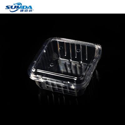 China Materials Customization Multi Styles Recycled Clear Fruit Packaging Clear Plastic Food Box Transparent Food Container Factory Wholesale for sale