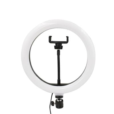 China Auto-timer Makeup Photography Photo Light 10 Inch LED Cosmetic Ring Light Without Tripod for sale