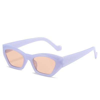 China Anti-ultraviolet Women Polarized Sunglasses Beach Wooden Sun Glass Cat Eye Sunglasses for sale