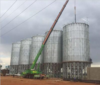 China Great volume popular TCK series hopper bottom galvanized steel rice paddy storage silo for sale