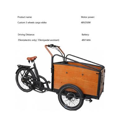 China Luxury Low Price Alloy Frame Family Use Take Kids 3 Wheel Electric Velo Adult Tricycle Electric Cargo Bike for sale