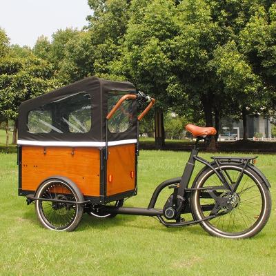 China 48V 250W 3 Wheel Multifunctional Electric Bicycle Cabin Delivery Bike Heavy Duty Closed Cargo Tricycle For Sale for sale